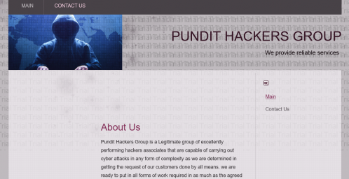 PUNDIT HACKERS GROUP